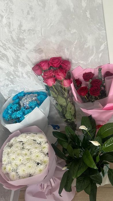 Свежый гүлдер бар