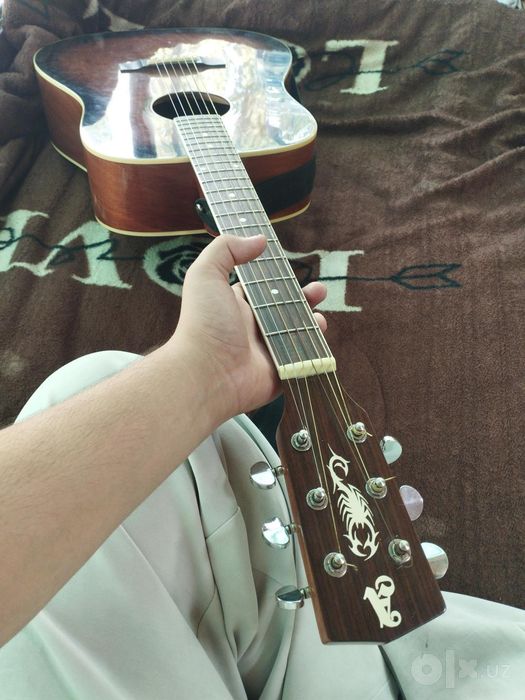 Ecolayzerli akustik gitara