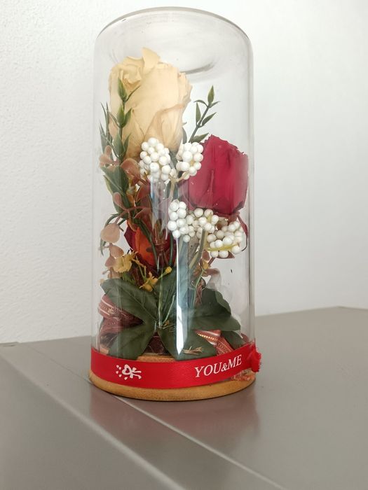 Trandafiri criogenati