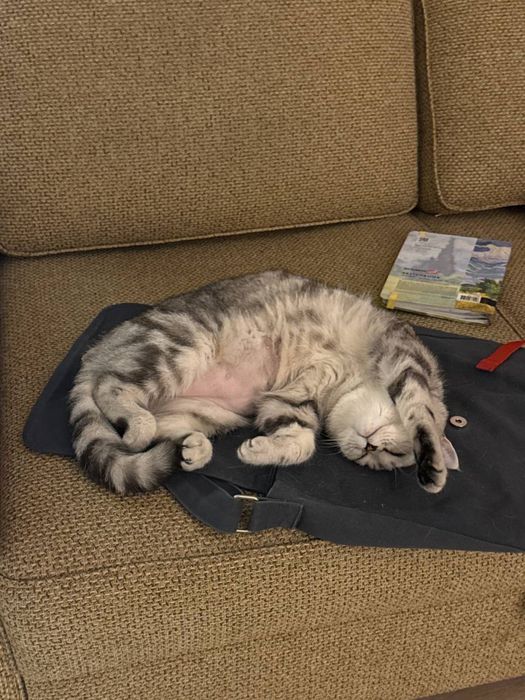 Диван 200 х 180