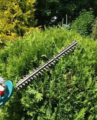 Обработка и стрижка ёлок (хвойных)