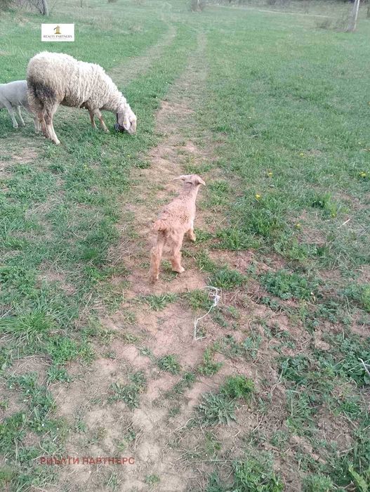 Продава се Парцел в с. Байкалско, Област Перник - 4011 кв.м за 3 €/кв.м - Снимка #8