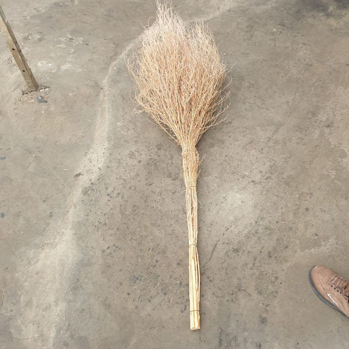 METLA kocha supirgi optim!!!