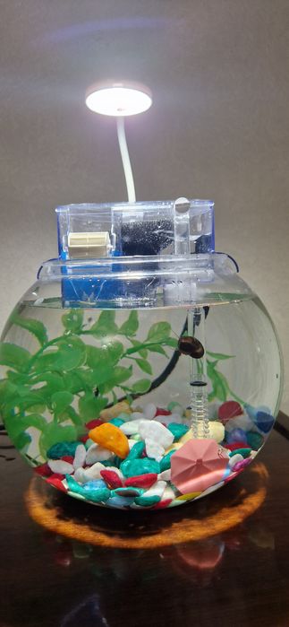Аквариум 5 литров с фильтром и лампой