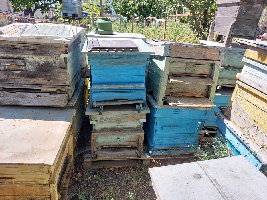 Пчелни кошери с магазини