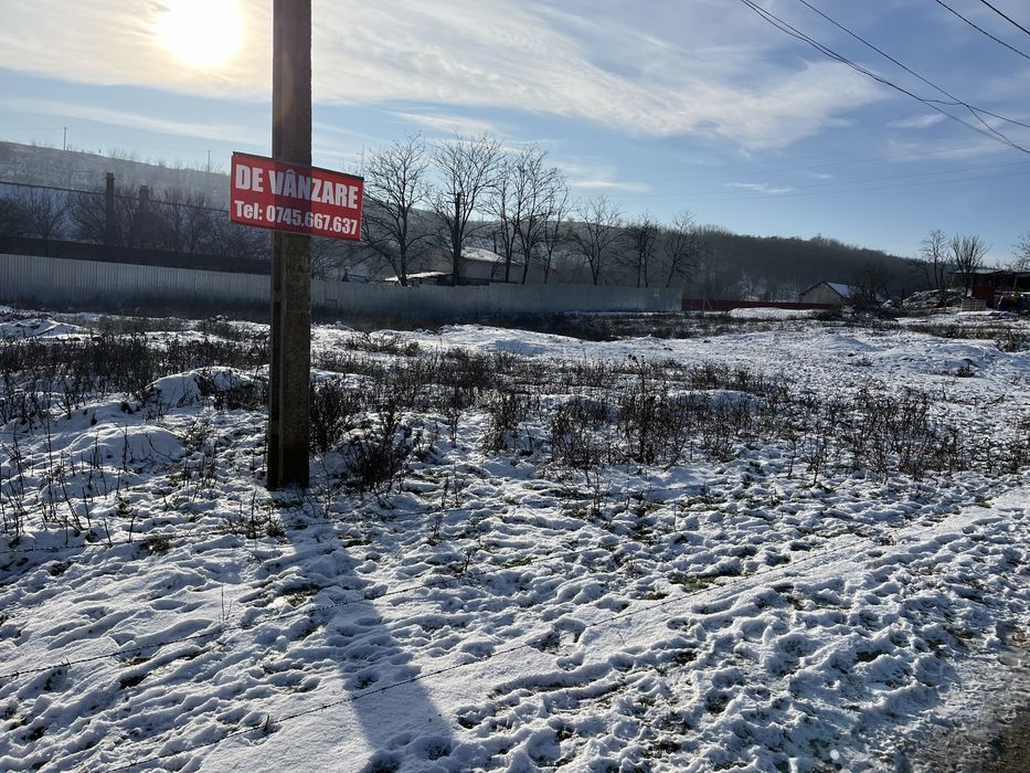 Vând 30 hectare padure (salcâm ) si teren intravilan (2000 mp )