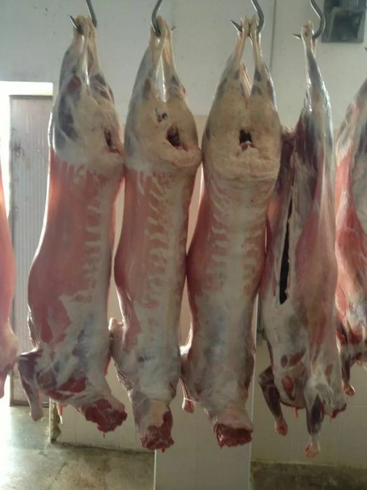 Продам баранину тушами