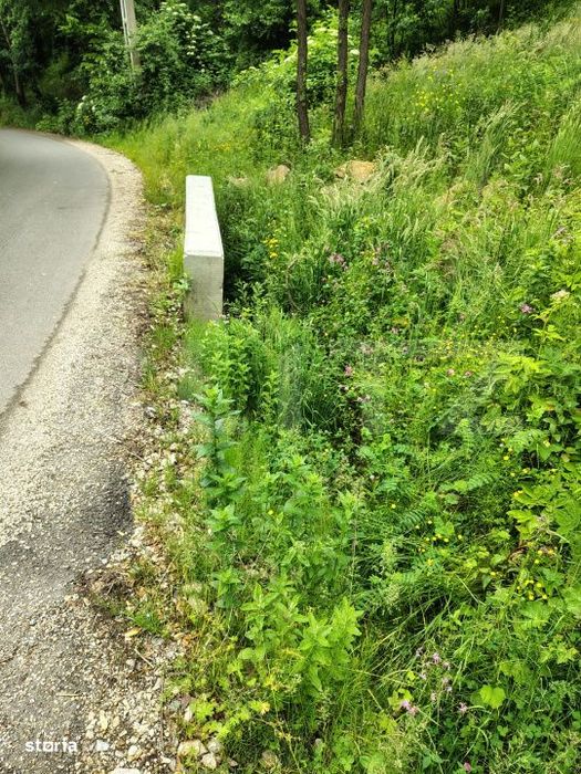 Teren zona de munte 1800 mp, cu apa de izvor, la Somesu Rece