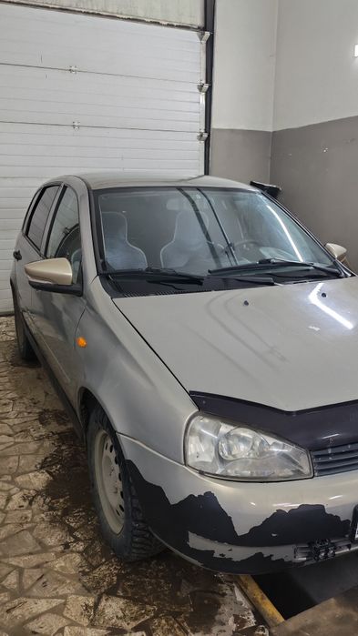 Продам калина хочбек