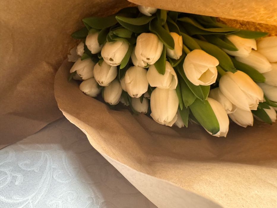 Тюльпан оптом!!!