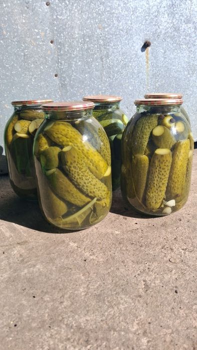 Солёные домашние огурцы