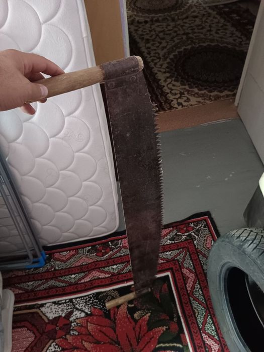 Kotta arra ikki kishilik sostoyaniyasi yaxshi