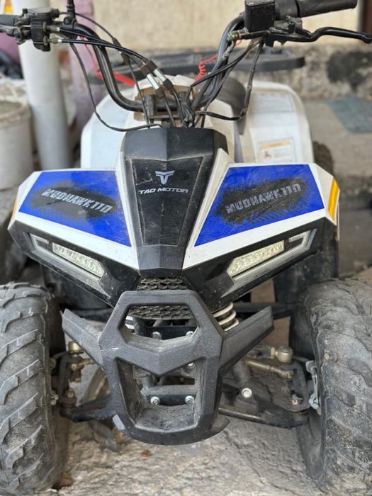 квадроцикл 110cc (Tao Motor Mudhawk).