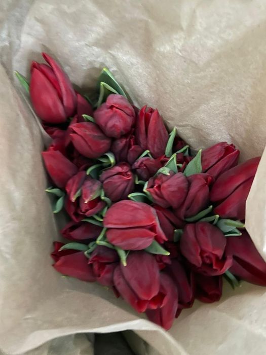 Предзаказ тюльпаны 8 марта подарки