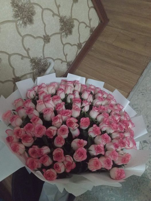 Голланская Роза 20к