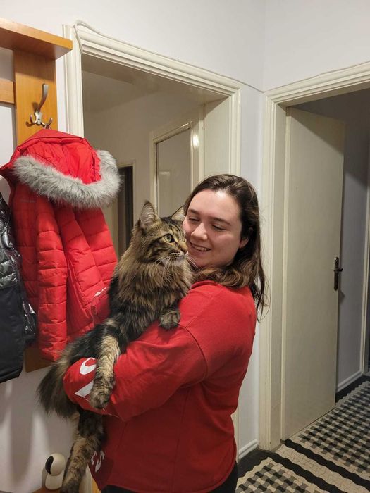 Pet sitter in București