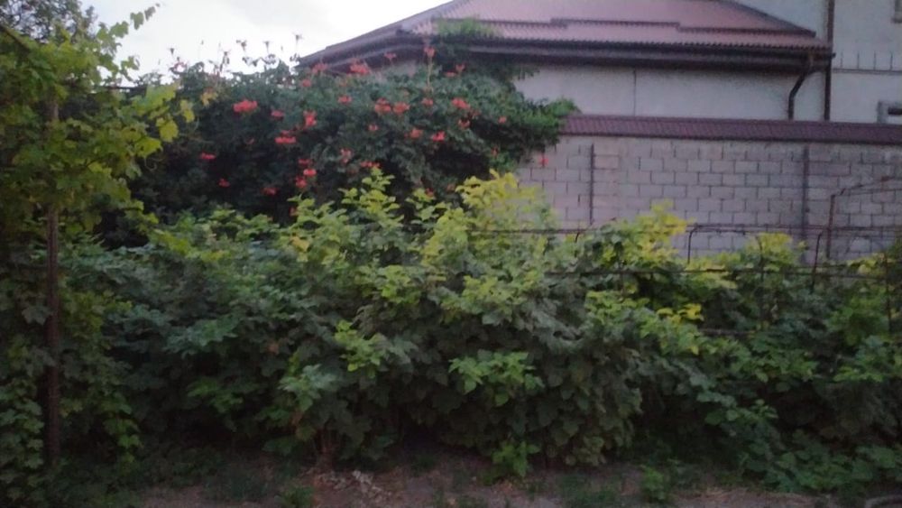 Дом в центре Тараза