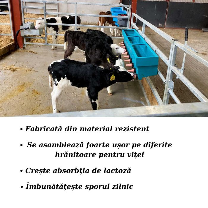 Tetina pentru Alaptat Vitei, Roz