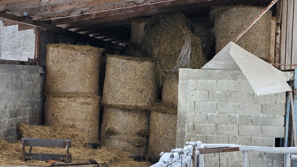 Baloți rotunzi  lucerna