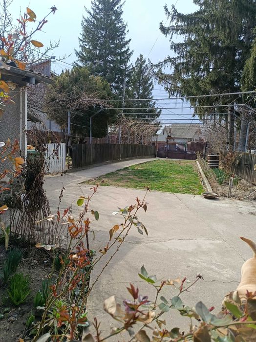 Vand casa batraneasca,demolabila