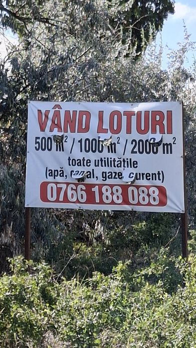 2 Terenuri  Intravilane perfect pentru construit case, hală afacere ..