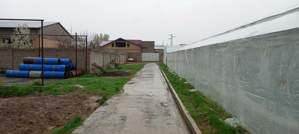 Продется бизнес тепличное хозяйство