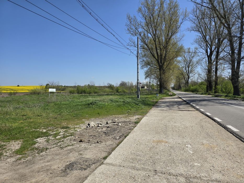 Teren de închiriat – 2.500 mp, deschidere 50 m, curent trifazic – DJ 5