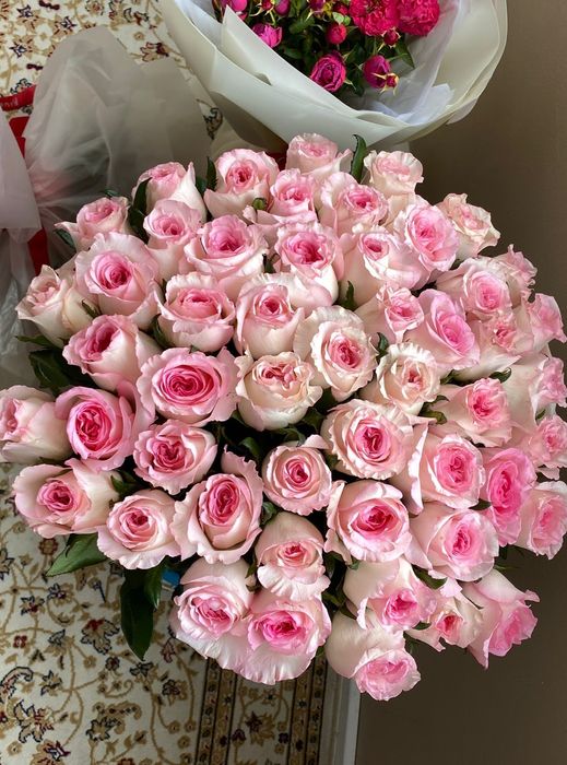 Цветы продам дёшево