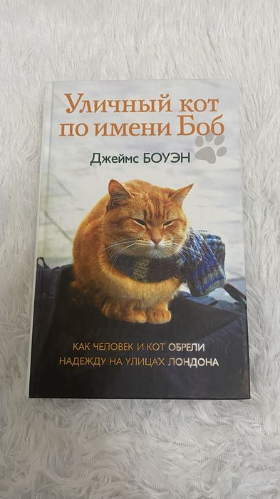 Книга «Уличный кот по имени Боб» Джеймс Боуэн