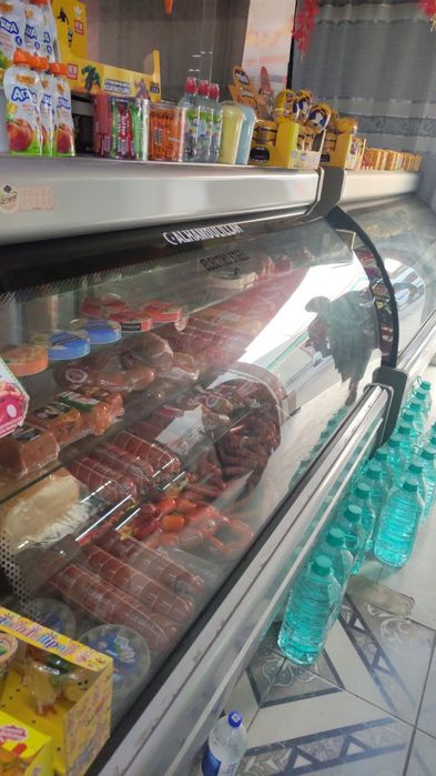 Vitrina xaladelnik eron holati zor