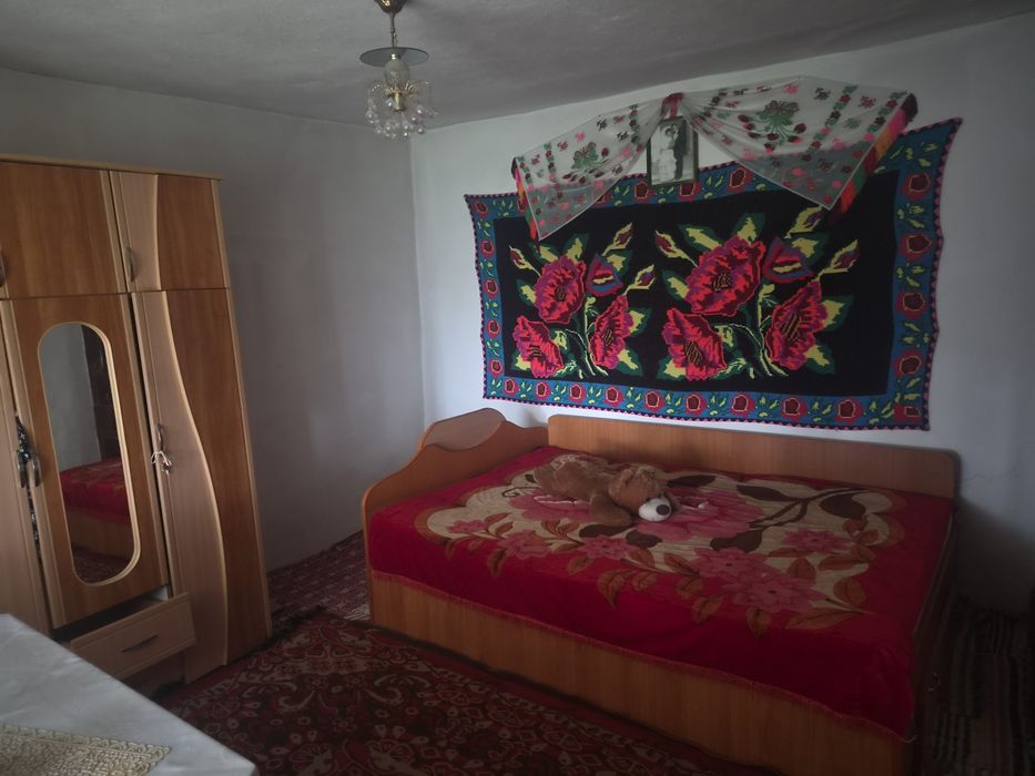 Vand casa in loc Salcioara