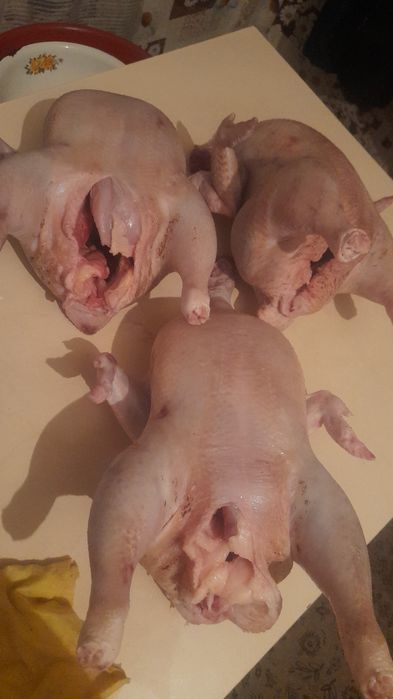 Домашние куры бройлер мясо курица