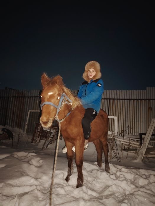 Продам Тай мальчика и девочку.