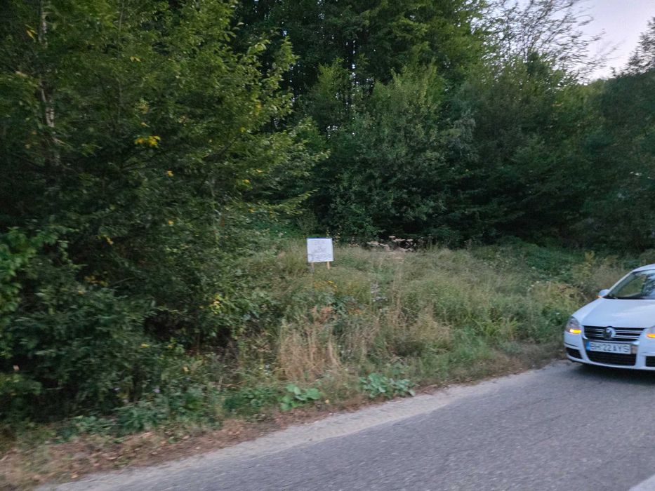 Teren Intravilan cu Utilități la Strada și Pădure în Spate – Pădurea Neagră, Bihor