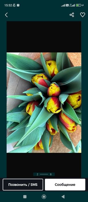 Тюльпаны с доставкой