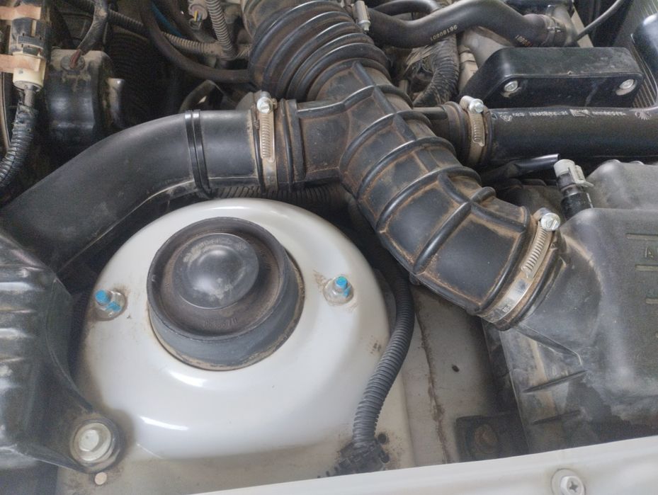 Нексия 2 гибрид простой