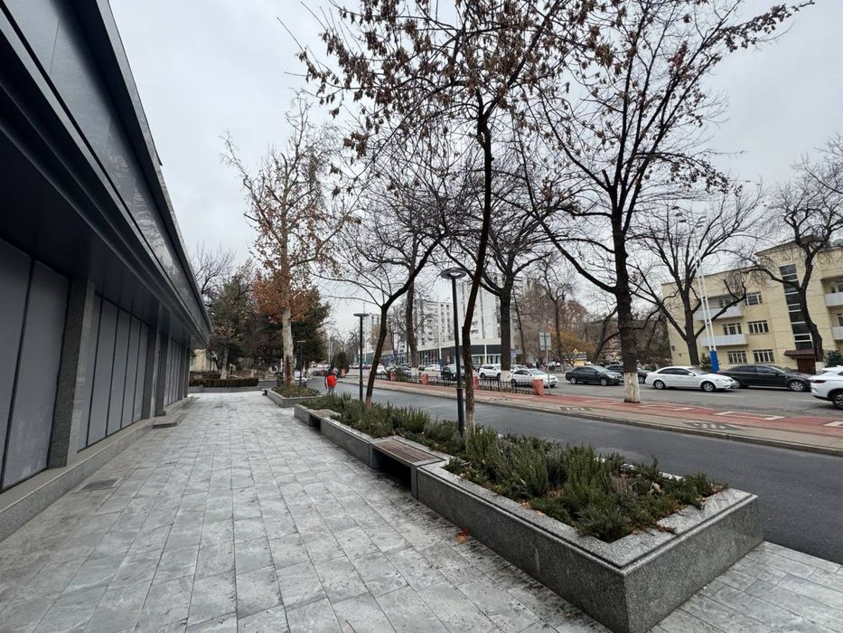 Ц-2 | Консерватория - Продается нежилое помещение вдоль дороги 844м2