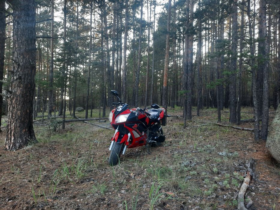 В продаже "PedaHornetV2"