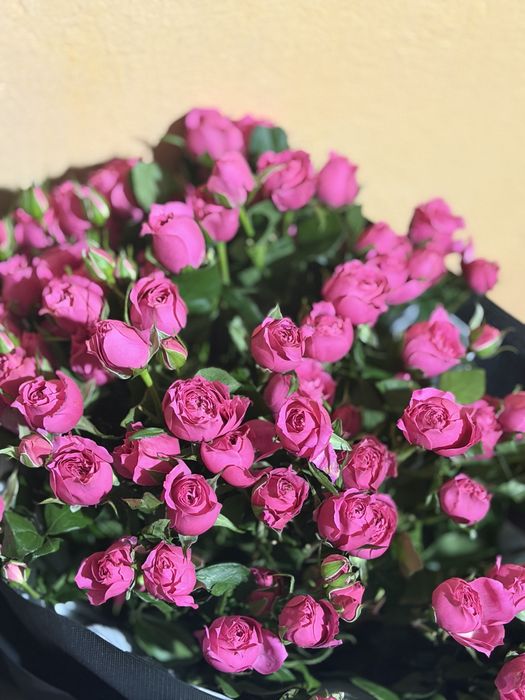 Свежий гулдер сатыладЫ