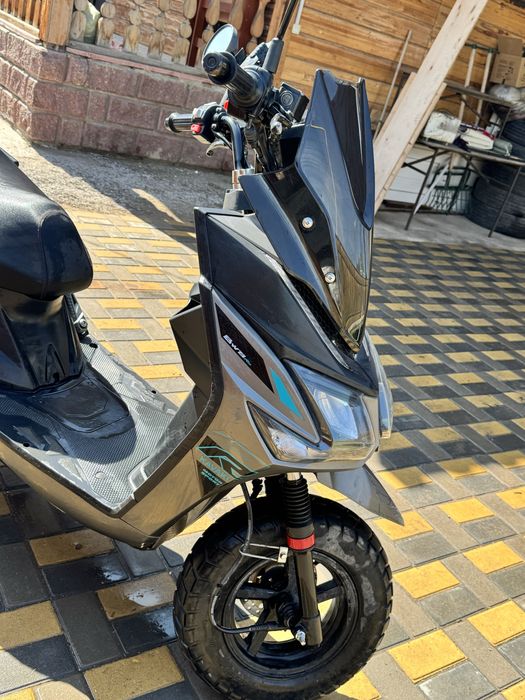 Самурай каваки четкий для этого сезона