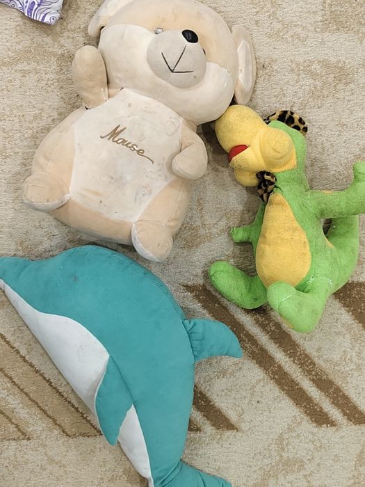 Тегін беремін бәрін