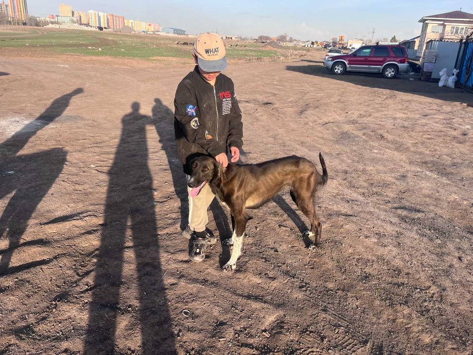 Тазы қаншық ауызданған