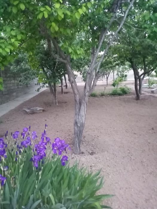 Дом, мкр. Шугыла, участок 8 соток