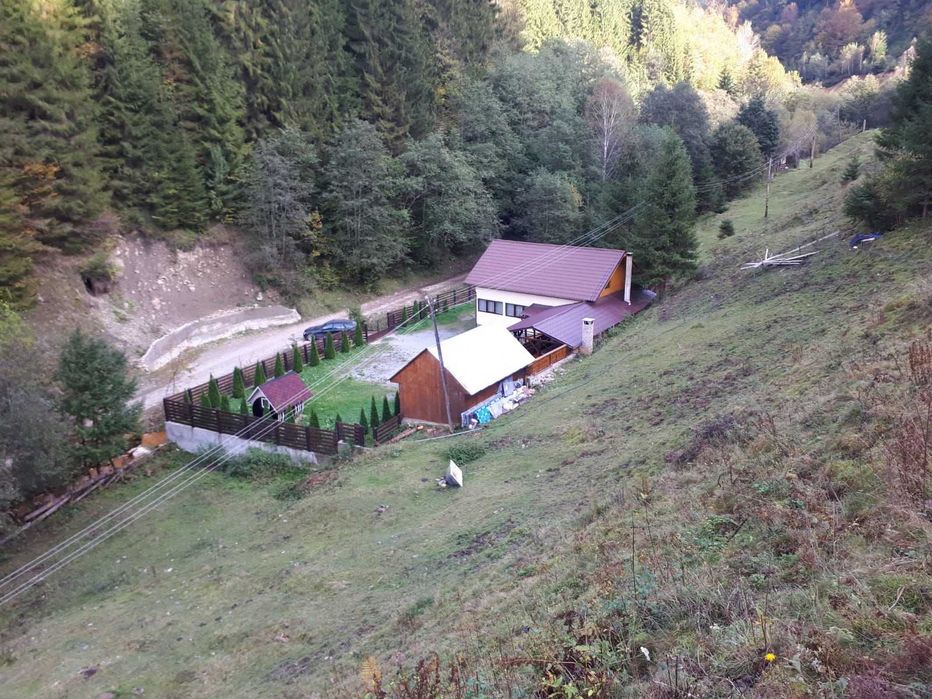 Cabana de Inchiriat- Craciun si Revelion