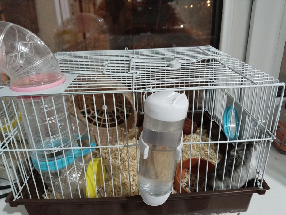 Отдам в добрые руки