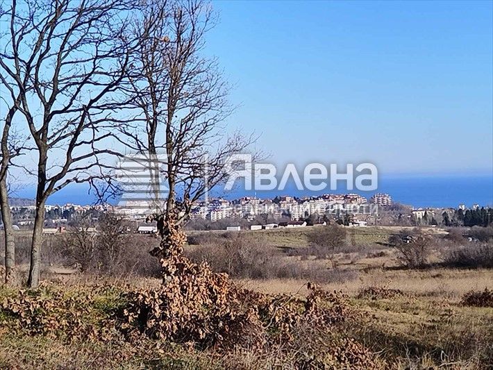 Продава се Парцел в Царево - 5600 кв.м за 50 €/кв.м - Снимка #6