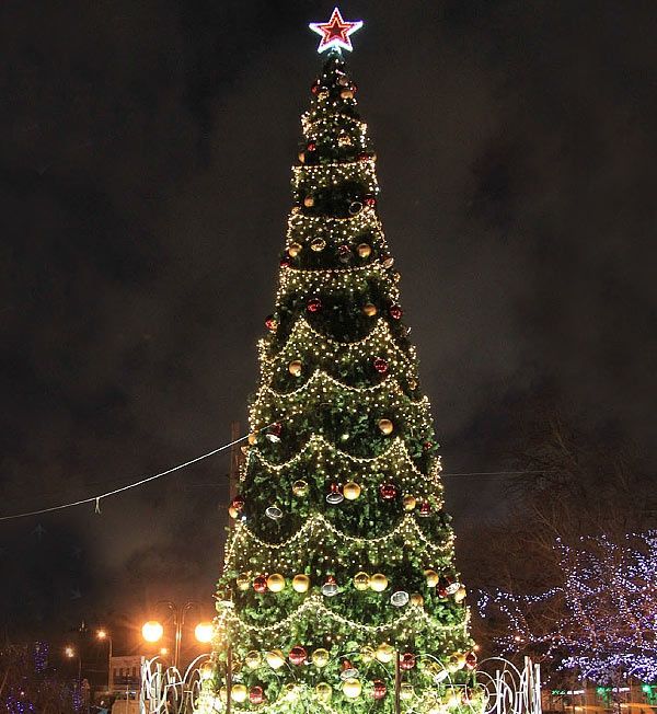 Арча  безатиш/ Оформления/Освешения/ хизматлари.