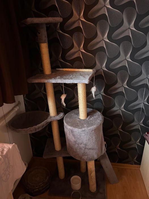 loc de joacă pisici