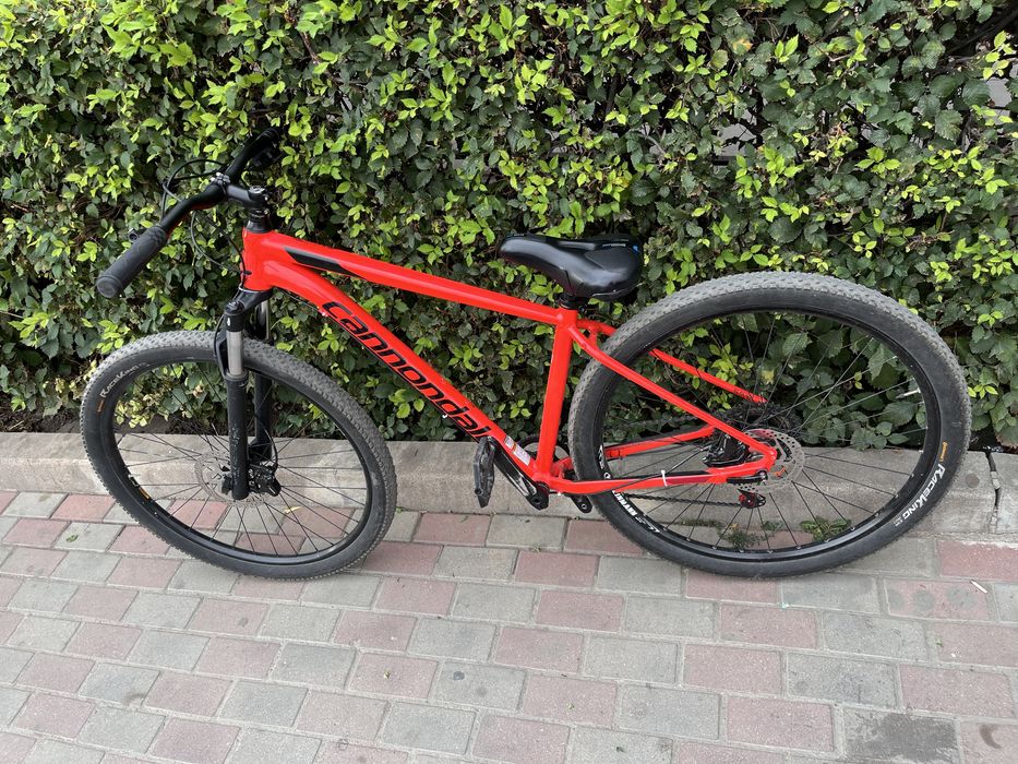 Cannondale Trail 5 (M)