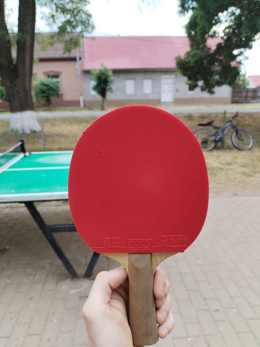 Vând paleta profesionala